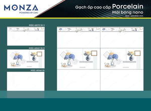 TOP ONE MSG-48068-48069-48070